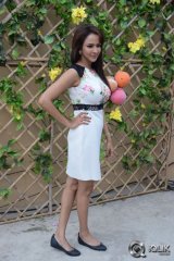 Dongata Movie First Look Launch